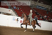 buckeye_08_2111 proof
