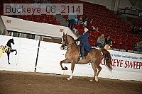 buckeye_08_2114 proof