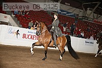 buckeye_08_2125 proof