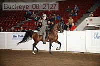 buckeye_08_2127 proof