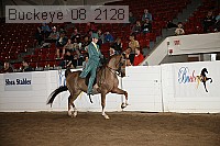 buckeye_08_2128 proof