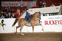 buckeye_08_2131 proof
