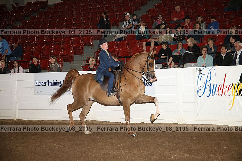 Proof buckeye_08_2135