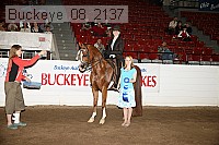 buckeye_08_2137 proof