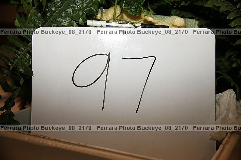 Proof buckeye_08_2170