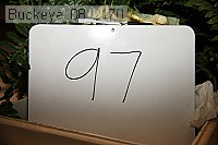 buckeye_08_2170 proof