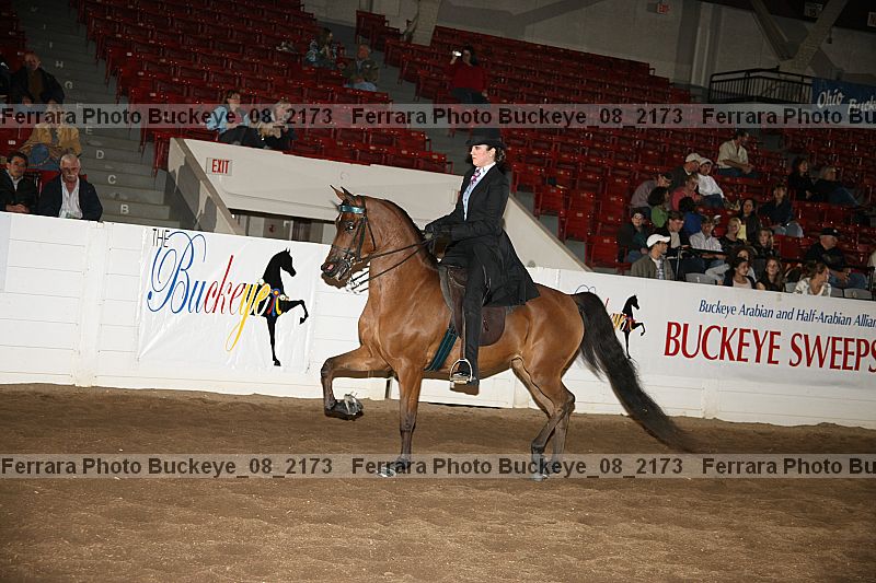 Proof buckeye_08_2173