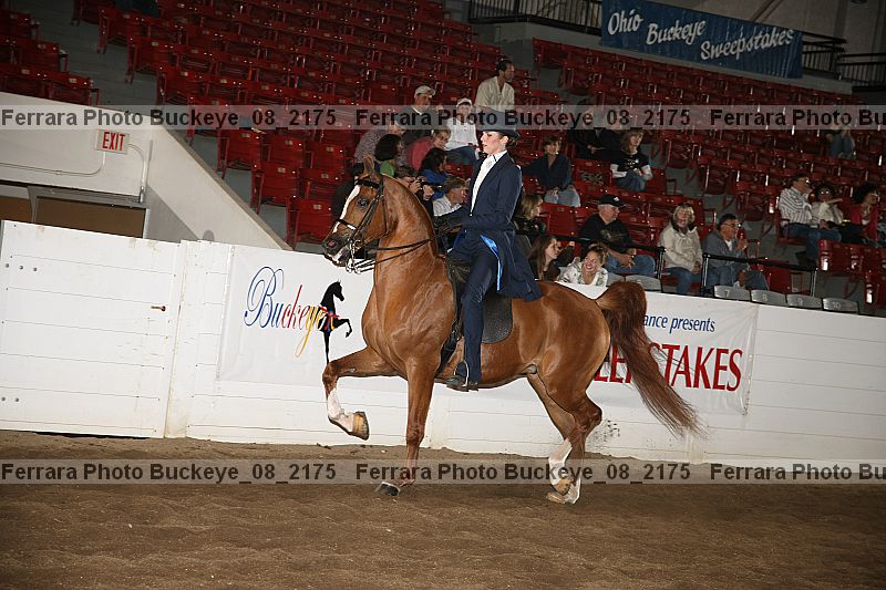 Proof buckeye_08_2175