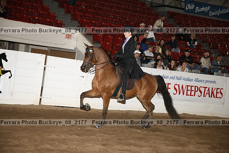 Proof buckeye_08_2177
