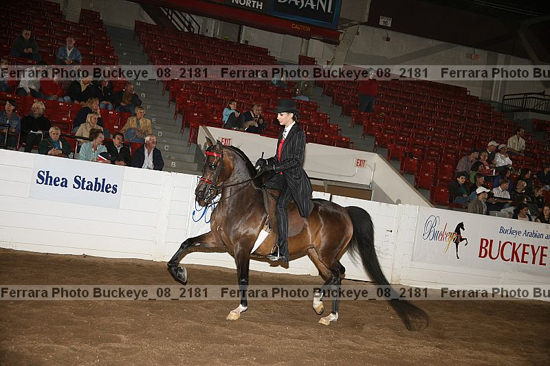 Proof buckeye_08_2181