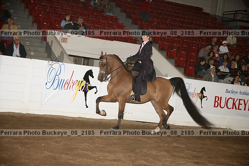 Proof buckeye_08_2185