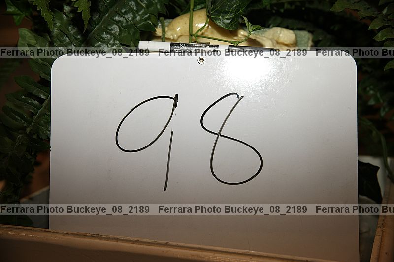 Proof buckeye_08_2189