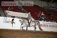 buckeye_08_2192 proof