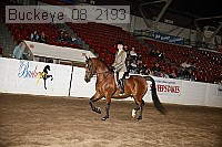buckeye_08_2193 proof