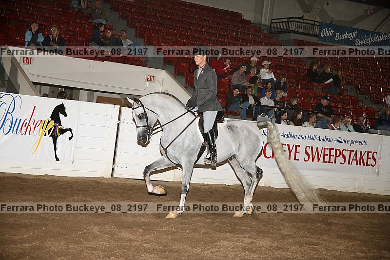 Proof buckeye_08_2197