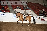 buckeye_08_2198 proof