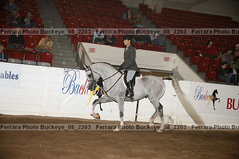 Proof buckeye_08_2203