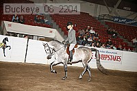 buckeye_08_2204 proof
