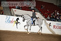 buckeye_08_2207 proof