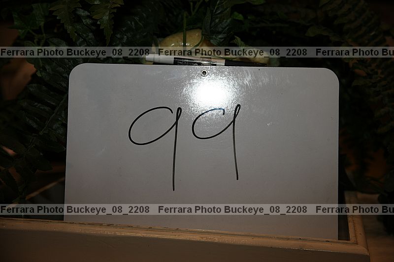 Proof buckeye_08_2208