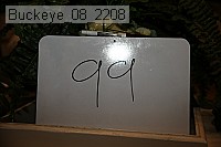 buckeye_08_2208 proof