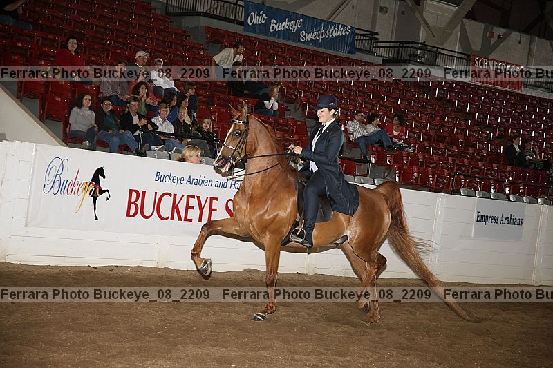 Proof buckeye_08_2209