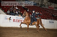 buckeye_08_2209 proof