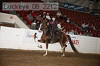 buckeye_08_2212 proof