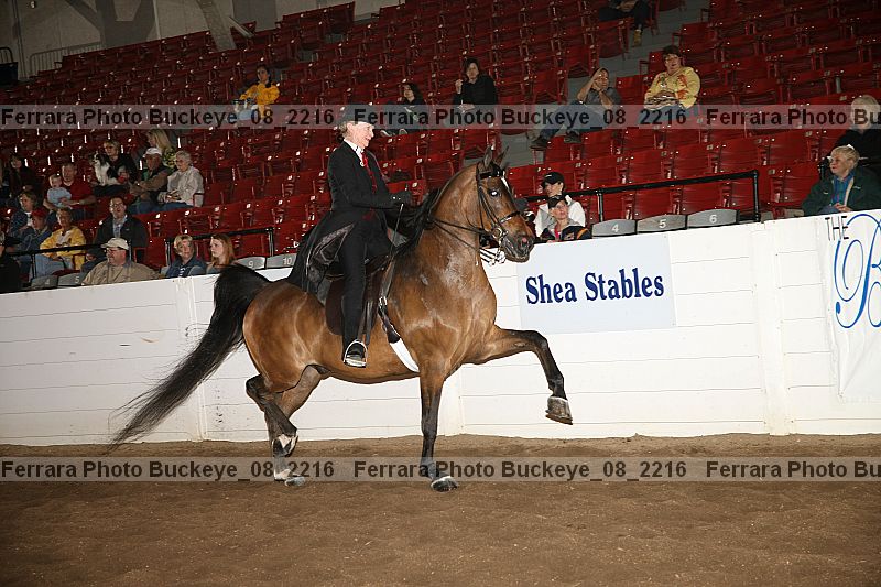 Proof buckeye_08_2216