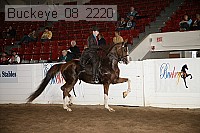 buckeye_08_2220 proof