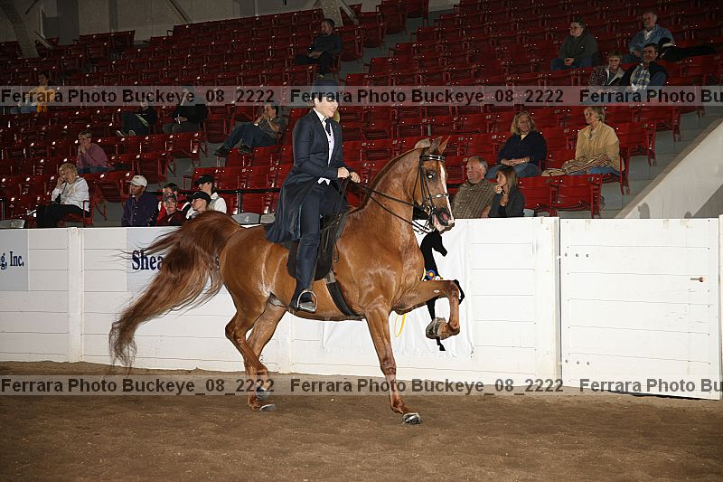 Proof buckeye_08_2222