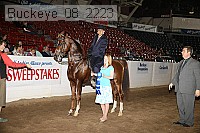 buckeye_08_2223 proof