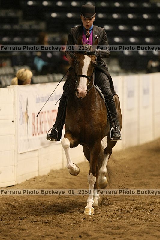 Proof buckeye_08_2258