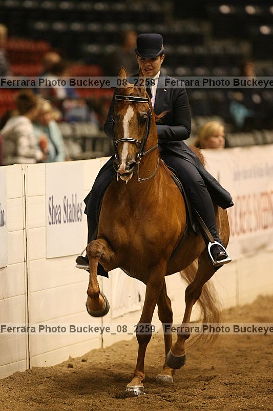Proof buckeye_08_2259