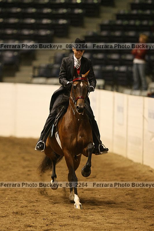 Proof buckeye_08_2264