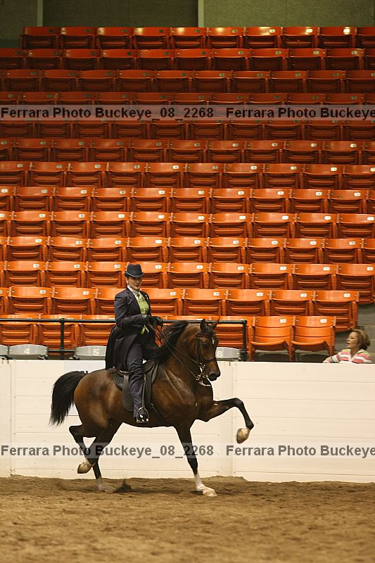 Proof buckeye_08_2268