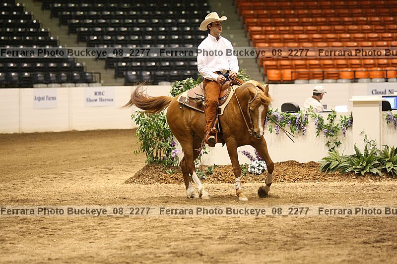 Proof buckeye_08_2277