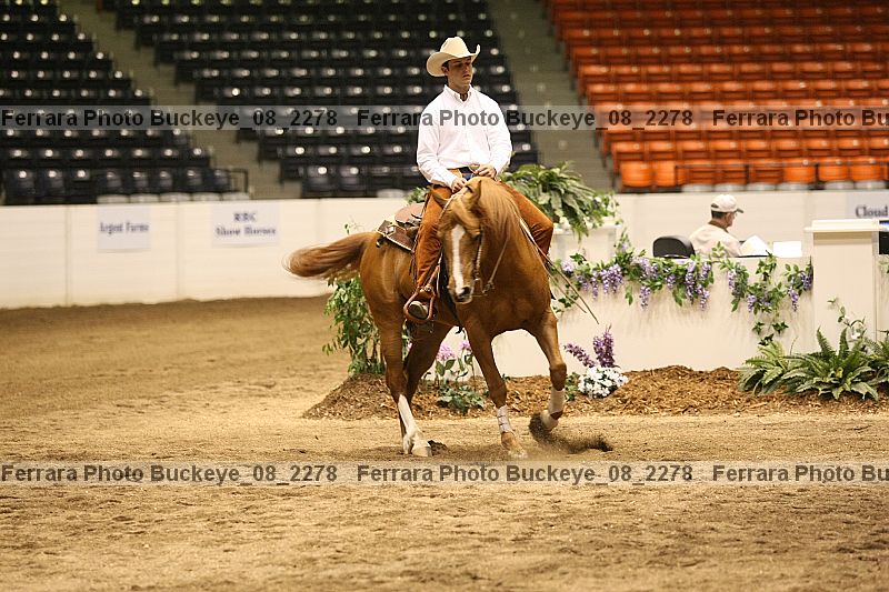 Proof buckeye_08_2278