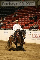 buckeye_08_2307 proof