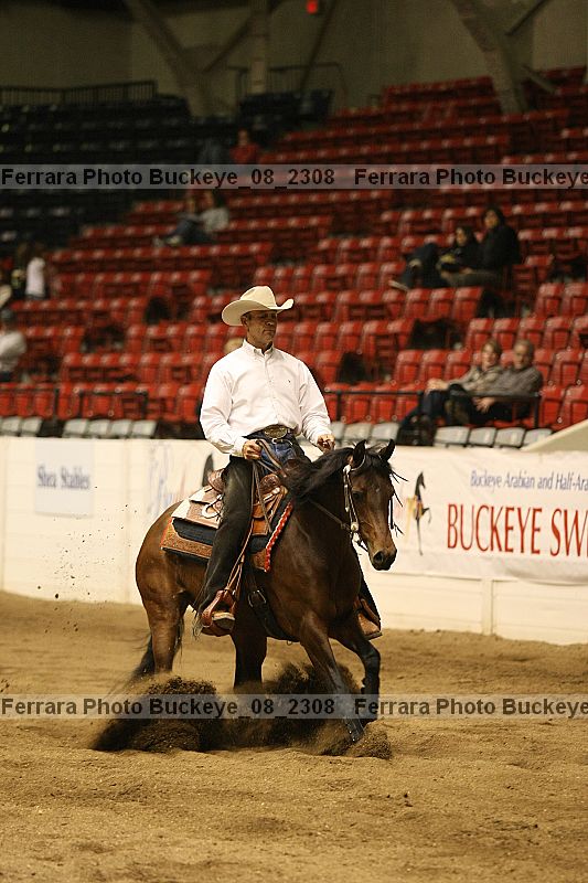 Proof buckeye_08_2308