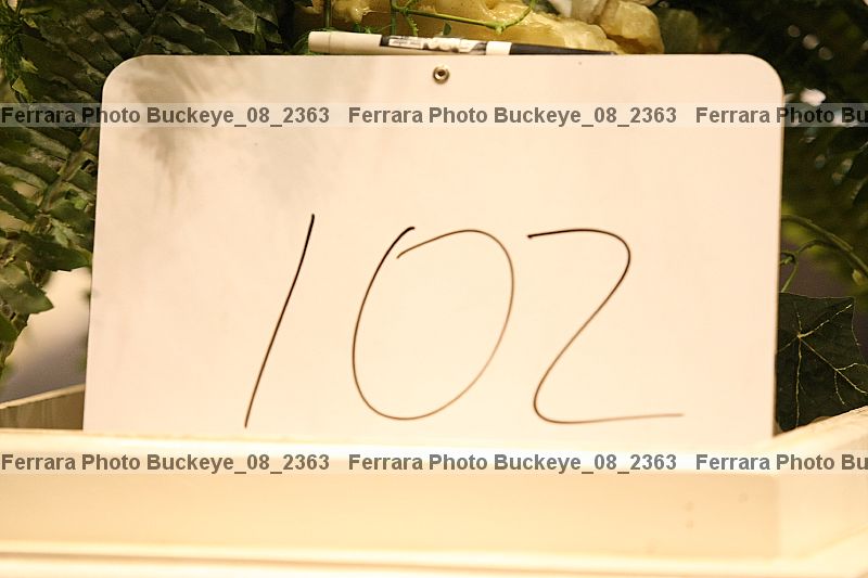Proof buckeye_08_2363