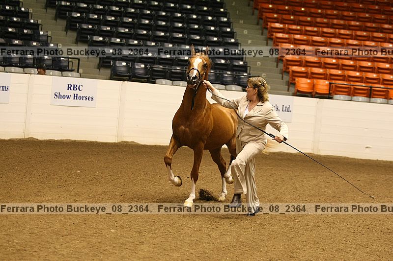 Proof buckeye_08_2364
