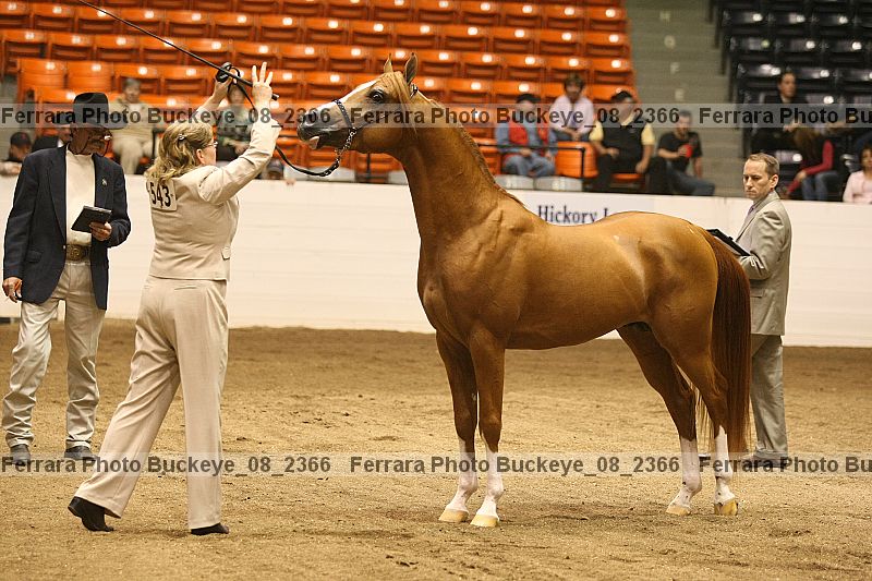 Proof buckeye_08_2366