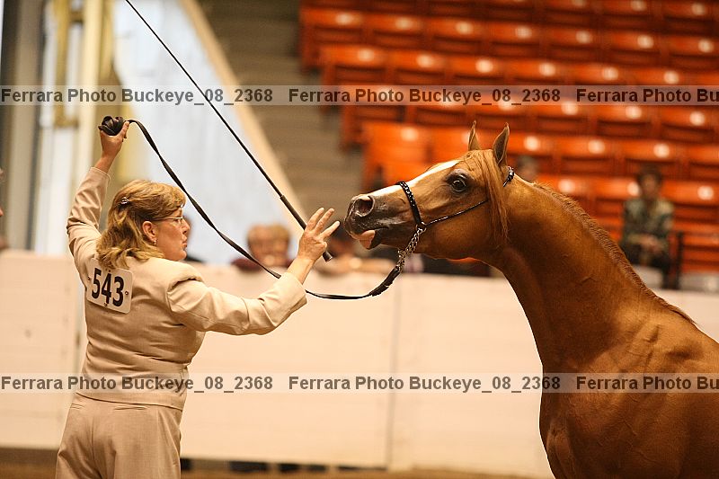 Proof buckeye_08_2368