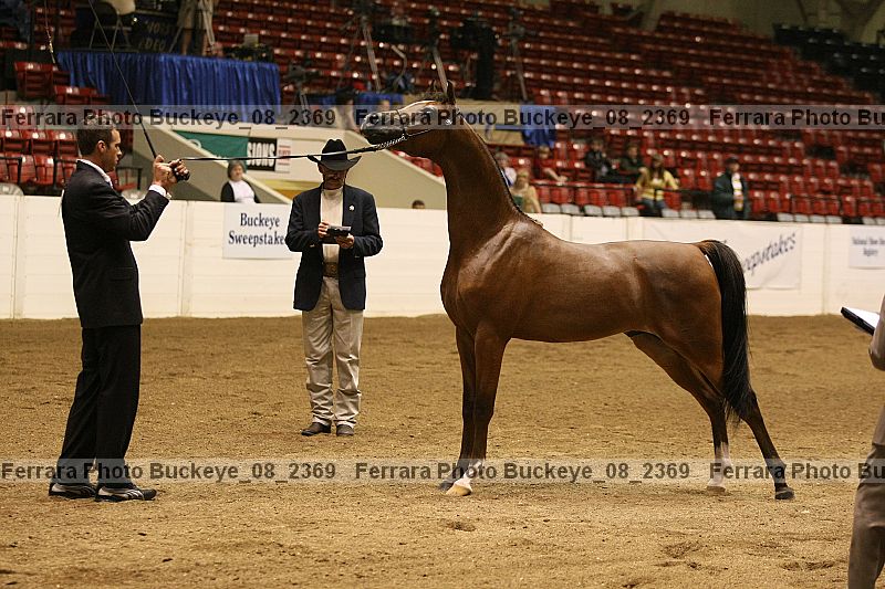 Proof buckeye_08_2369