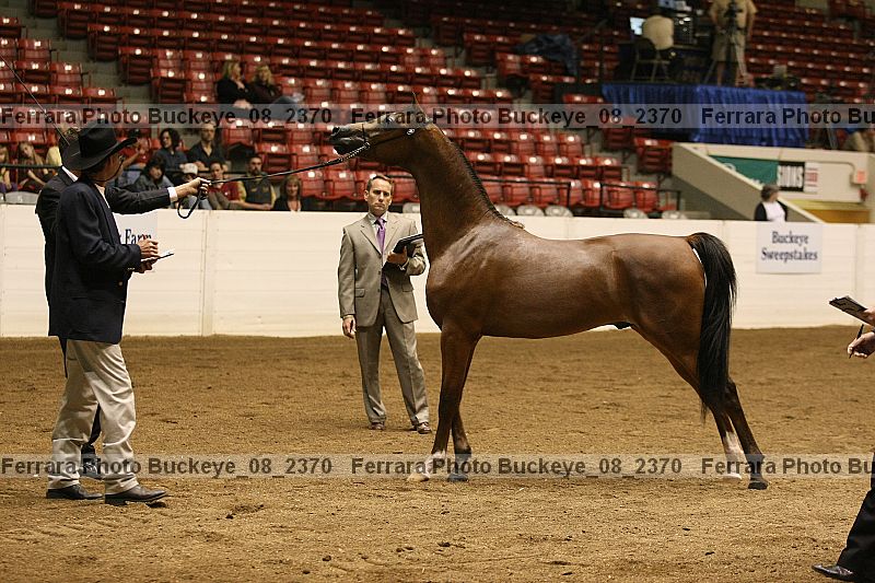 Proof buckeye_08_2370