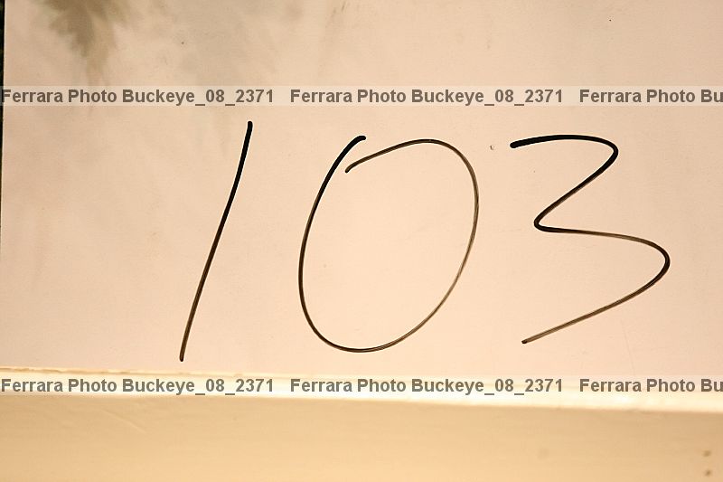 Proof buckeye_08_2371