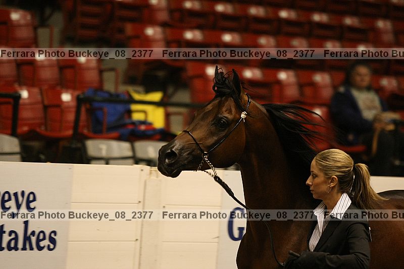 Proof buckeye_08_2377