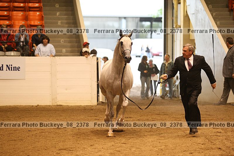 Proof buckeye_08_2378