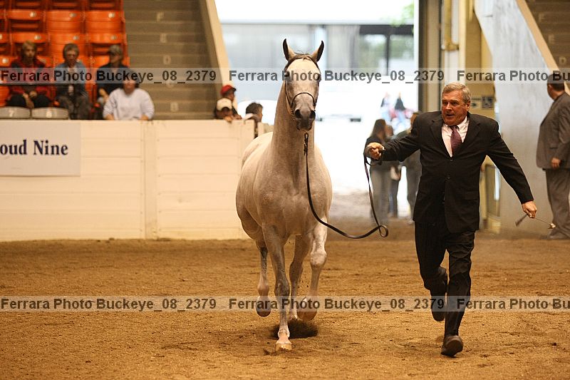 Proof buckeye_08_2379